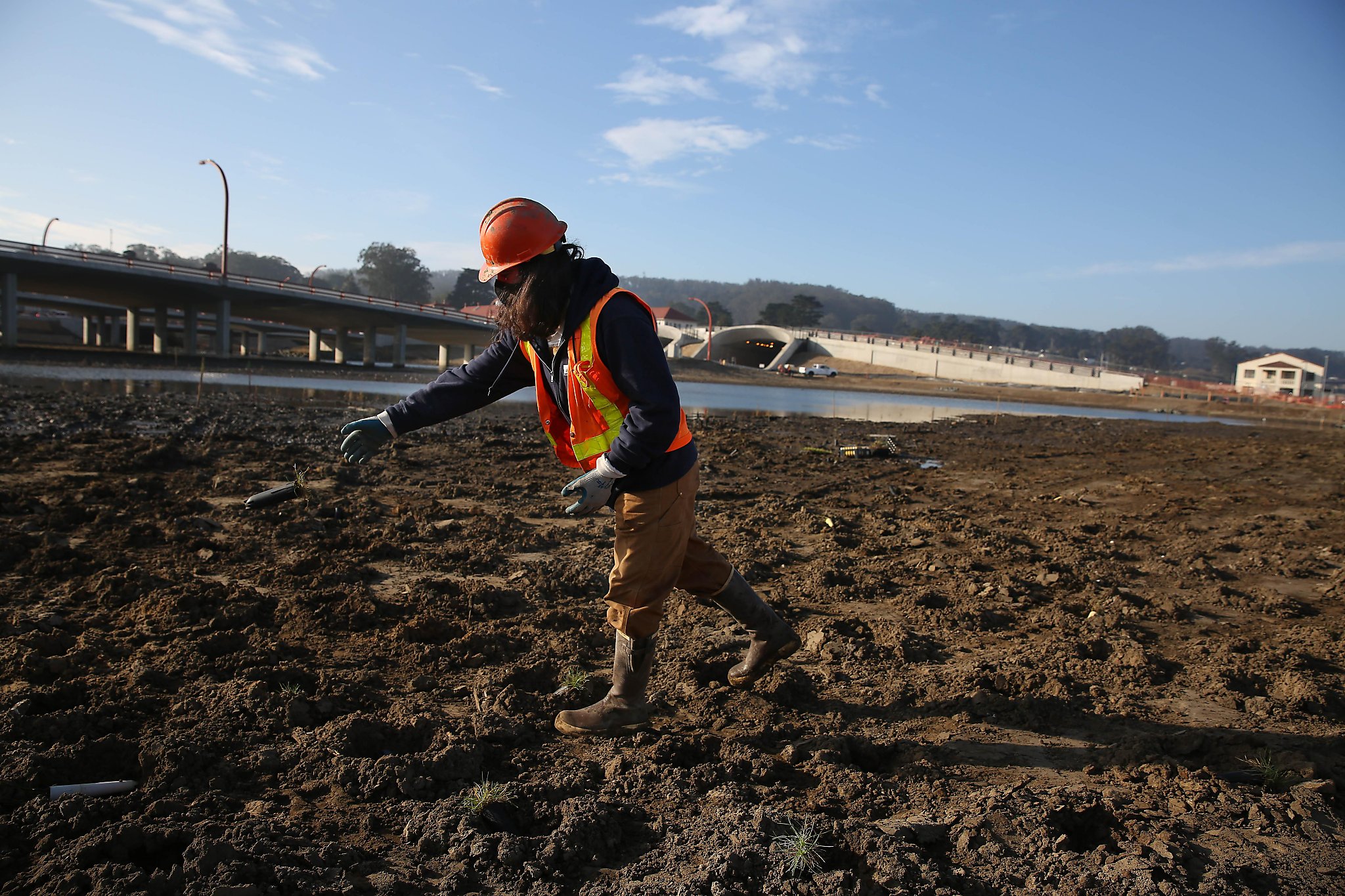 Crissy Field has new neighbors — 7 acres of tidal wetlands and a hilltop park-to-be - Vimarsana News