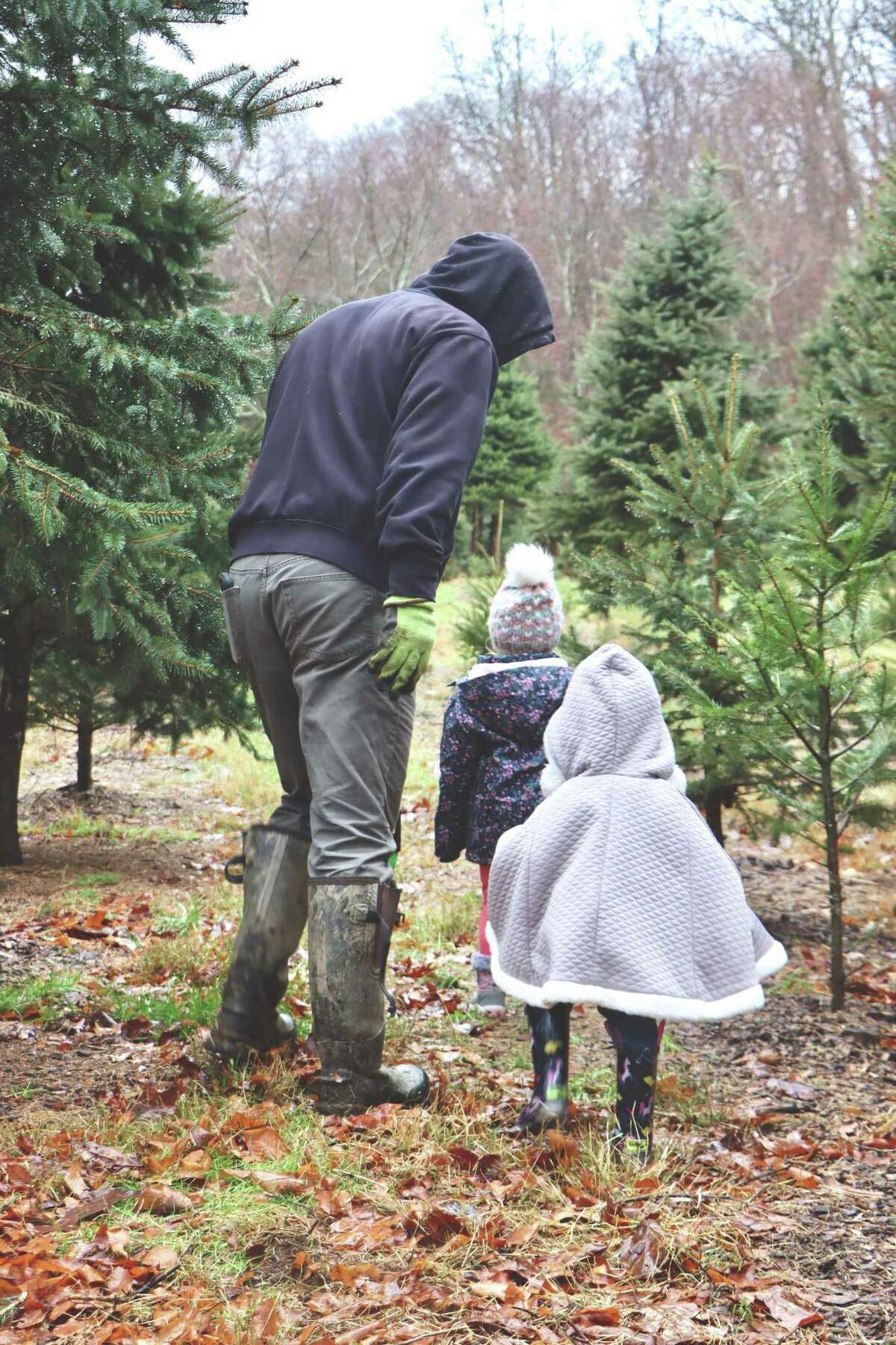 Diana Paproski at Castle Hill Farm/Paproski's Tree Farm said the farm opened earlier than usual this year and was