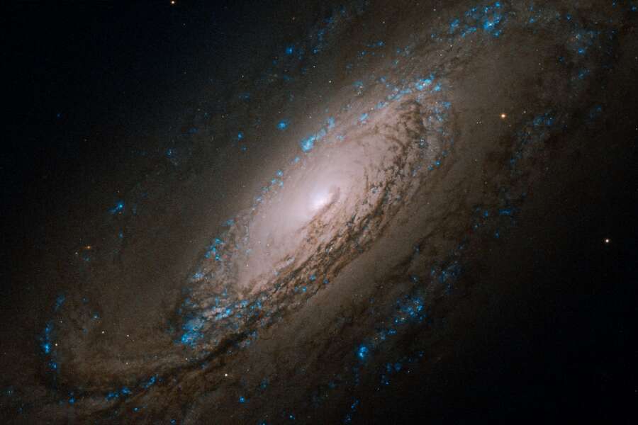 Hubble releases photos of 30 new nightsky gems you can see with a