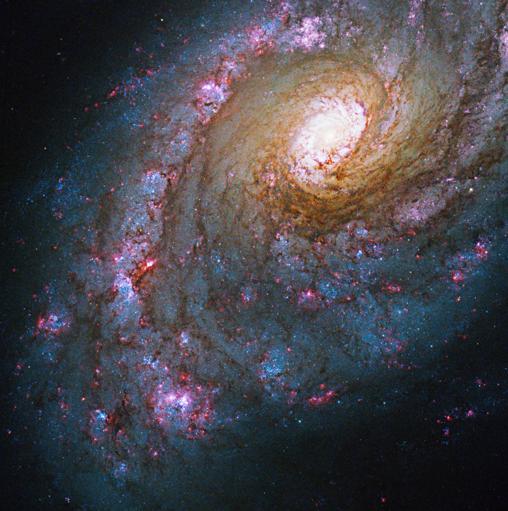 best hubble images