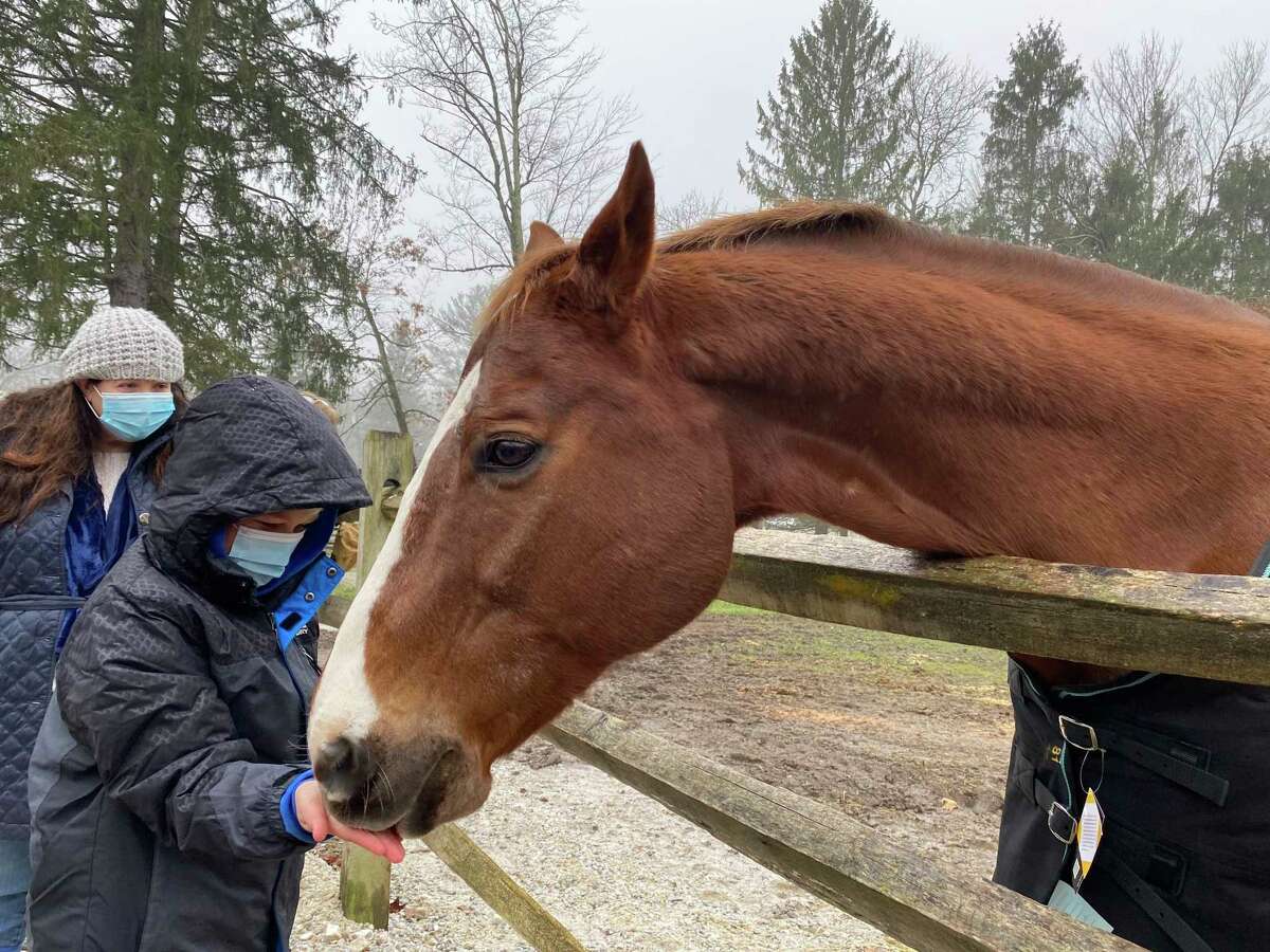 H.O.R.S.E. of Connecticut is holding a three-day tack sale, Nov. 19-21, 10 a.m. to 3 p.m. at the horse farm, 43 Wilbur Road off Route 202. Proceeds benefit the farm’s many rescued horses and to help with feed, veterinary and farrier costs.