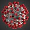 A COVID-19 particle is pictured in this image provided by the Centers for Disease Control and Prevention (CDC/TNS)