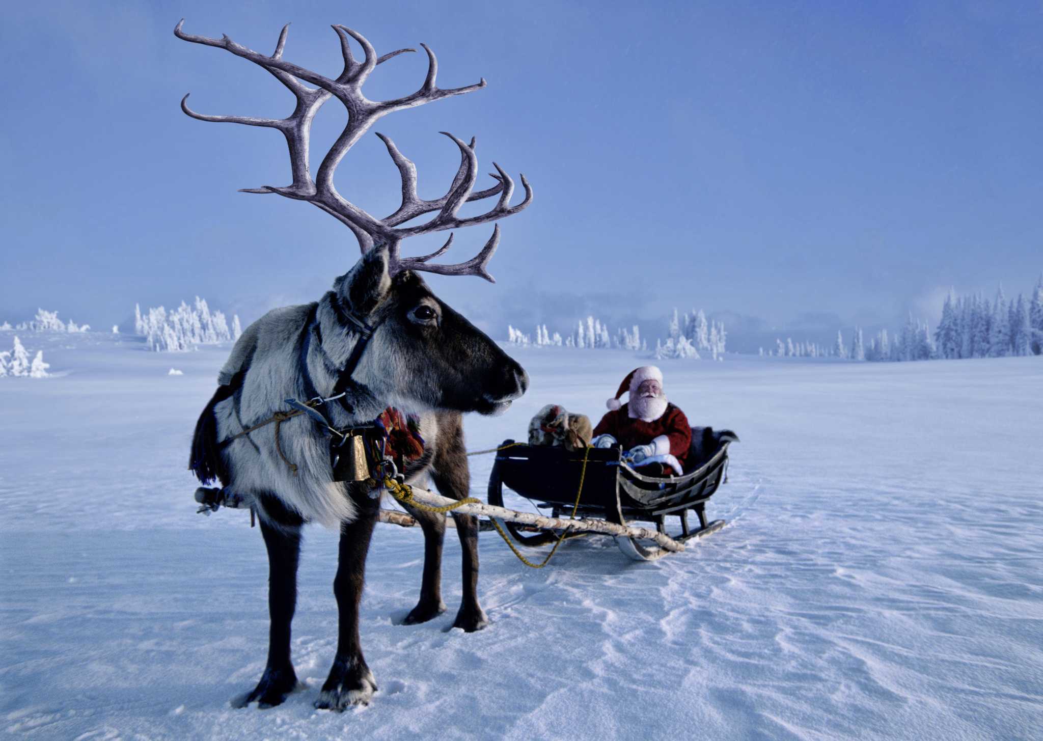 real santa and his reindeer