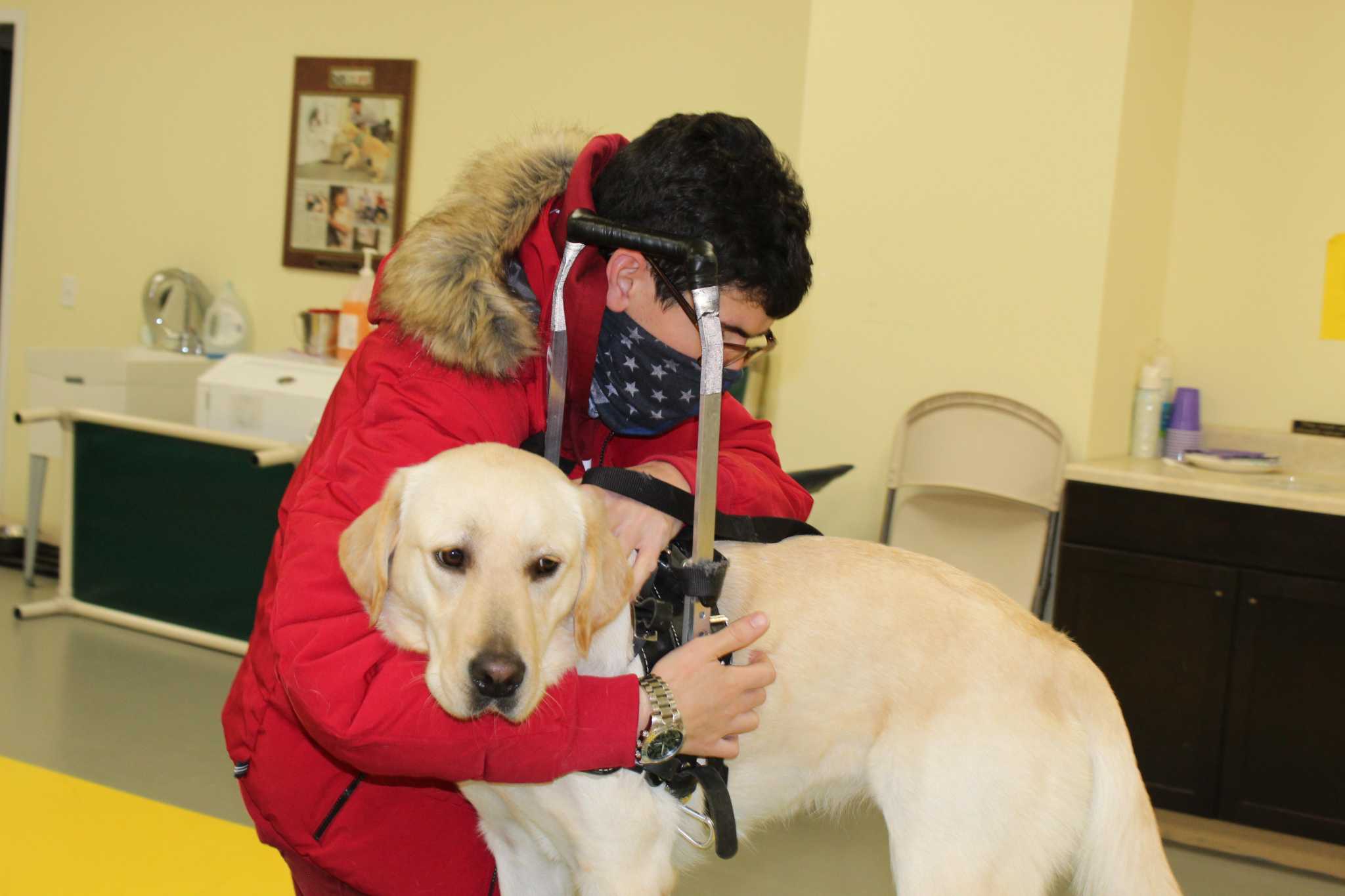 Winsted dog training company trying again for expansion permits - Vimarsana News