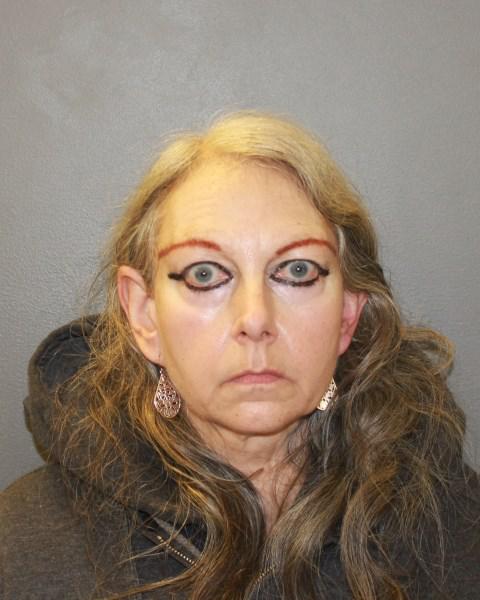 Hamden PD: 26 cats, six dogs, 2 rats among animals found in alleged cruelty case - Vimarsana News
