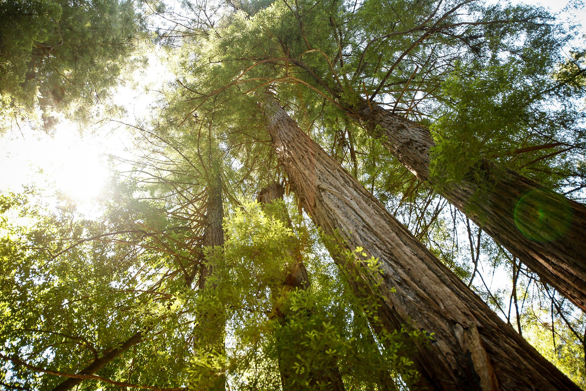 Shutdown order to close Bay Area campsites starting Thursday