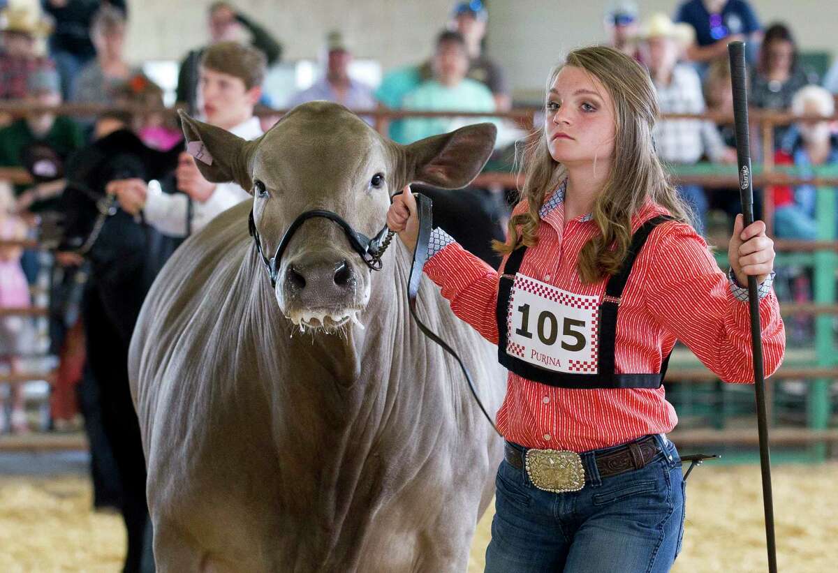 Montgomery County Fair and Rodeo set to open its chute in April