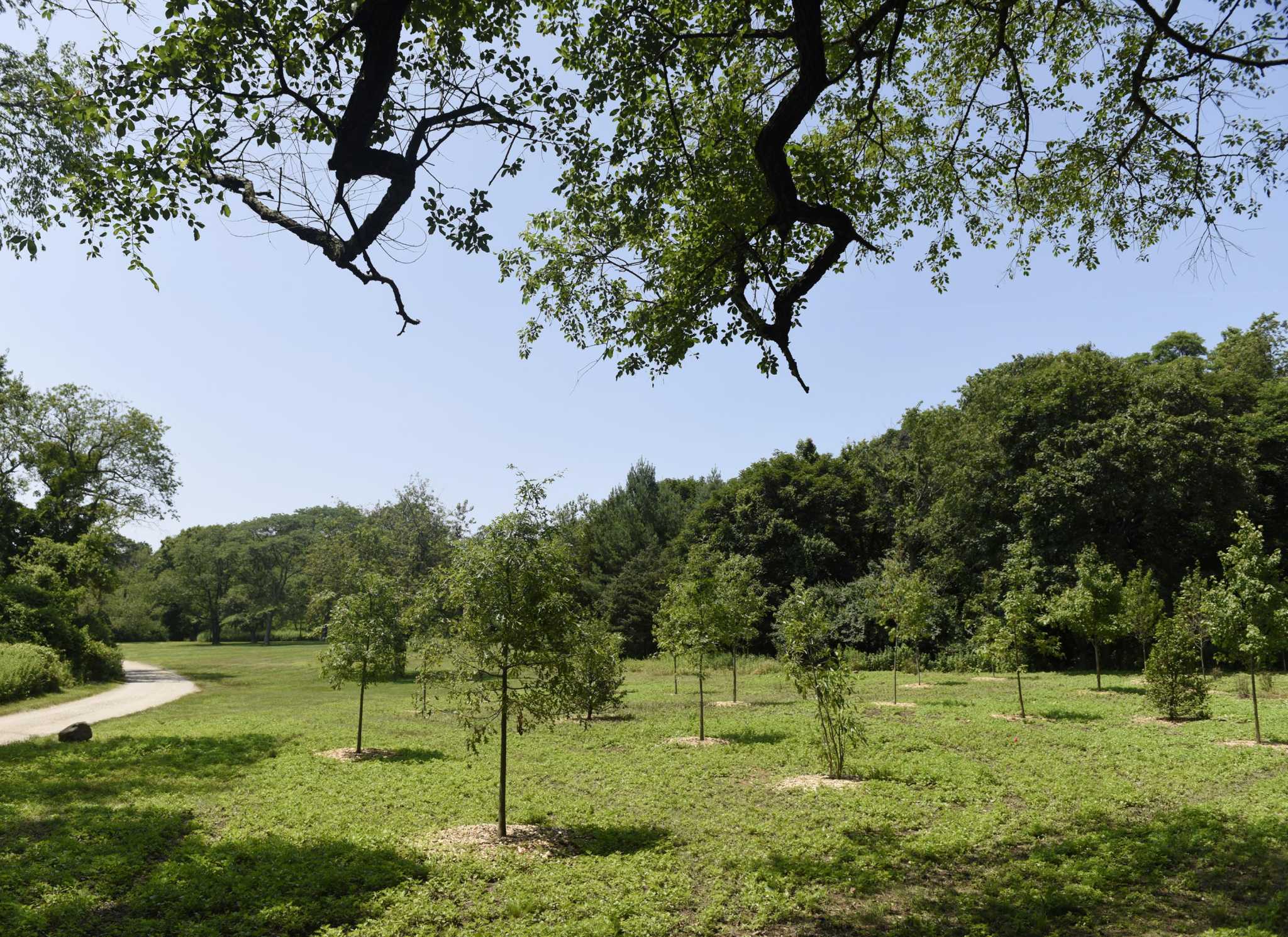 Letters: Texas Republicans can lead on climate change - Houston Chronicle