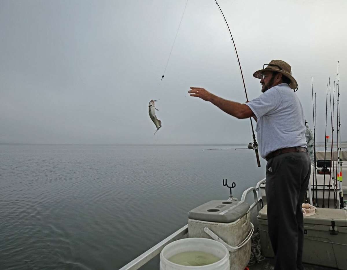 Hot for cats Winter proves to be prime time for big blues at Choke Canyon