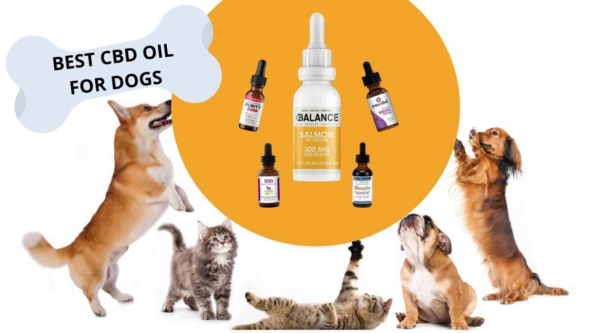 Best Cbd Oil For Dogs Top Brands Buyers Guide Ad