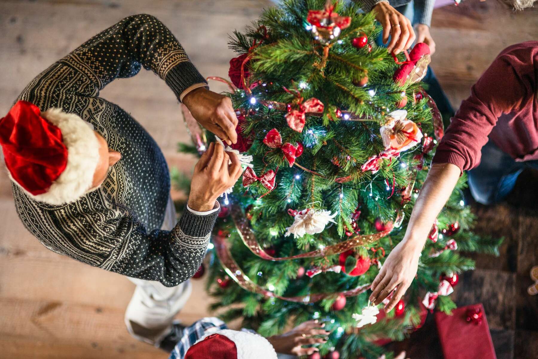 Brazoria Christmas 2022 Here's How To Recycle Your Christmas Tree In The Houston Area