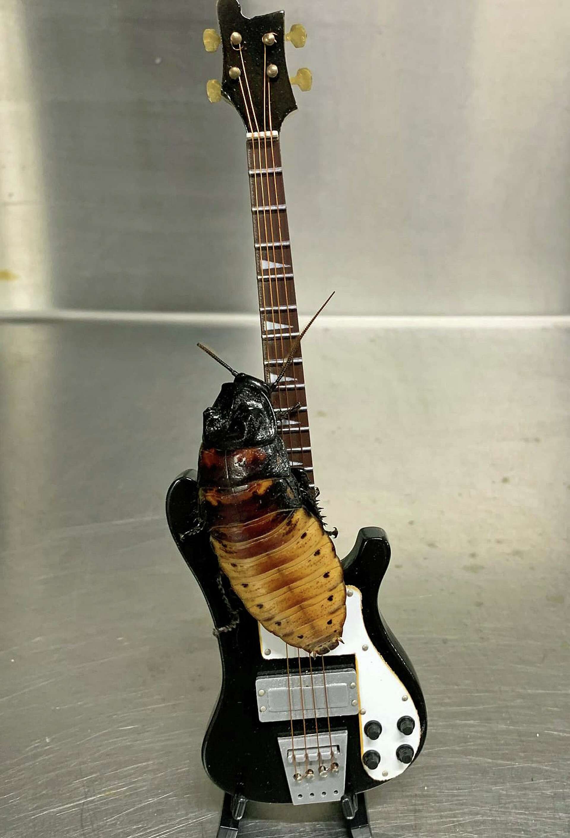 keith richards (VERY RARE TEST!!送料込み take it so hard Keith Richards SNL 1988 rare