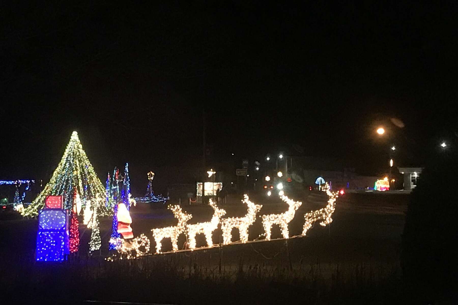Freeland Christmas Lights 2022 Photos: Manistee County Lights Up For Christmas