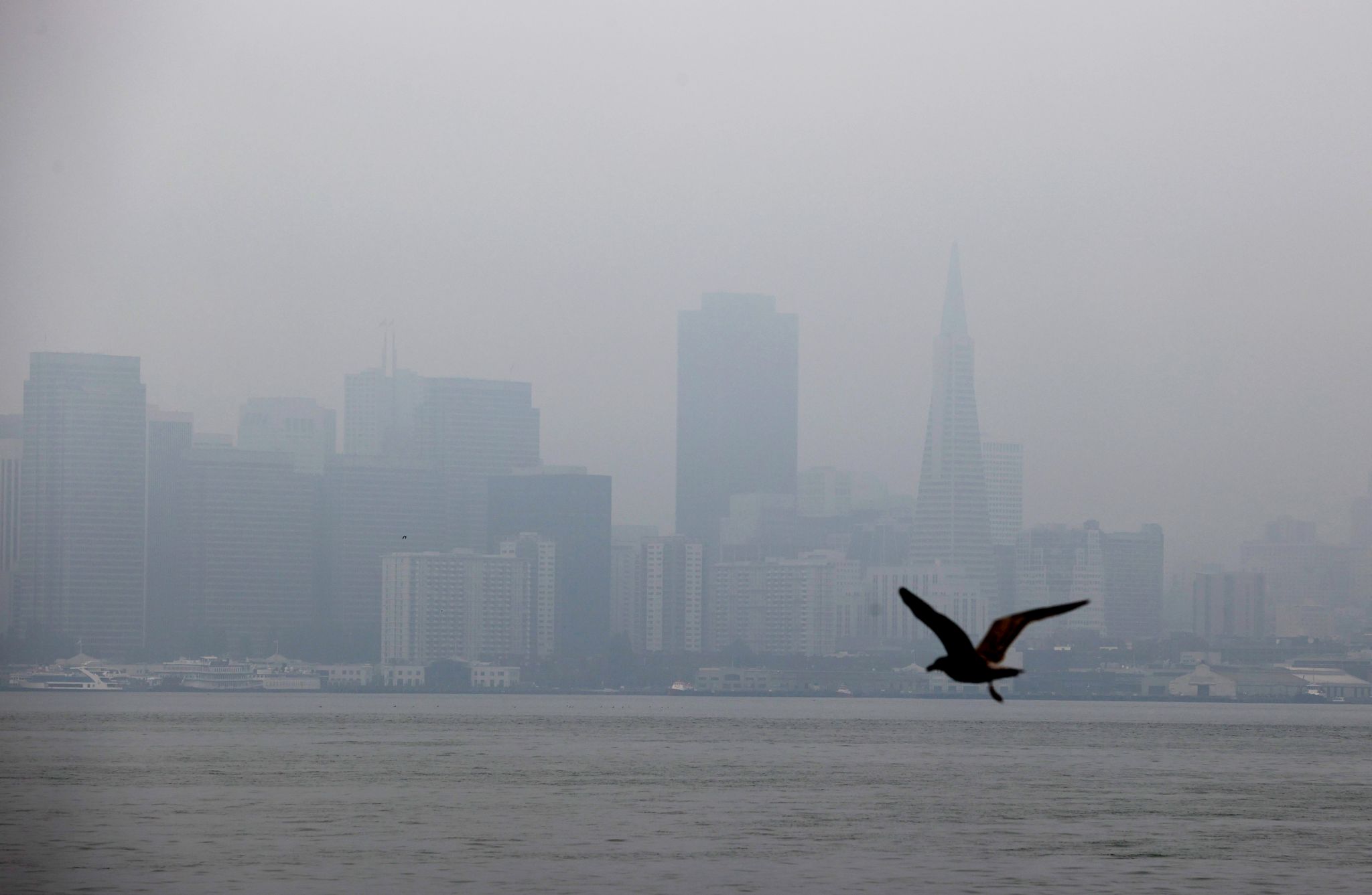 New Spare the Air alert issued for Monday due to building smoke in Bay Area - Vimarsana News