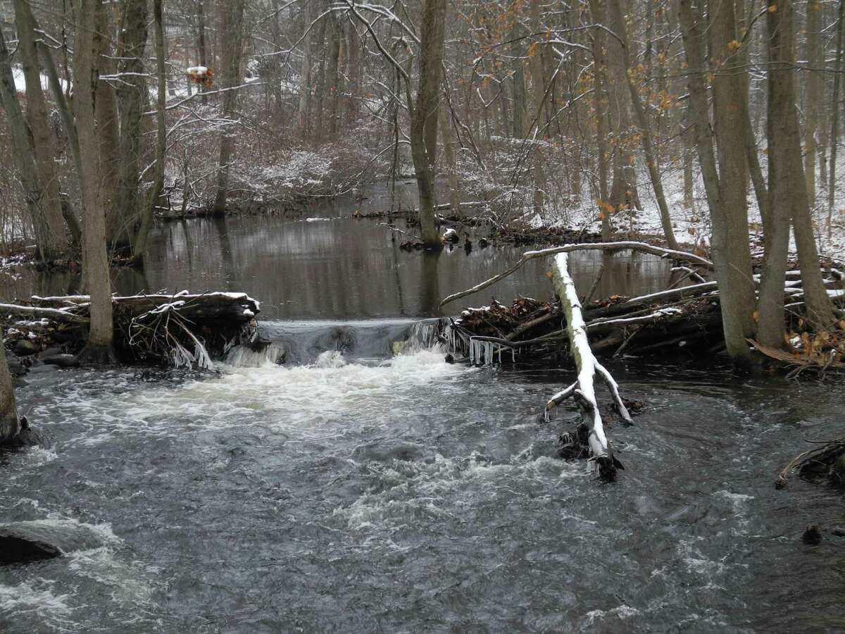 The Norwalk River flows past the winter snows in Georgetown. A program on how stream connectivity is measured with trail cameras will be offered by Wilton Library.