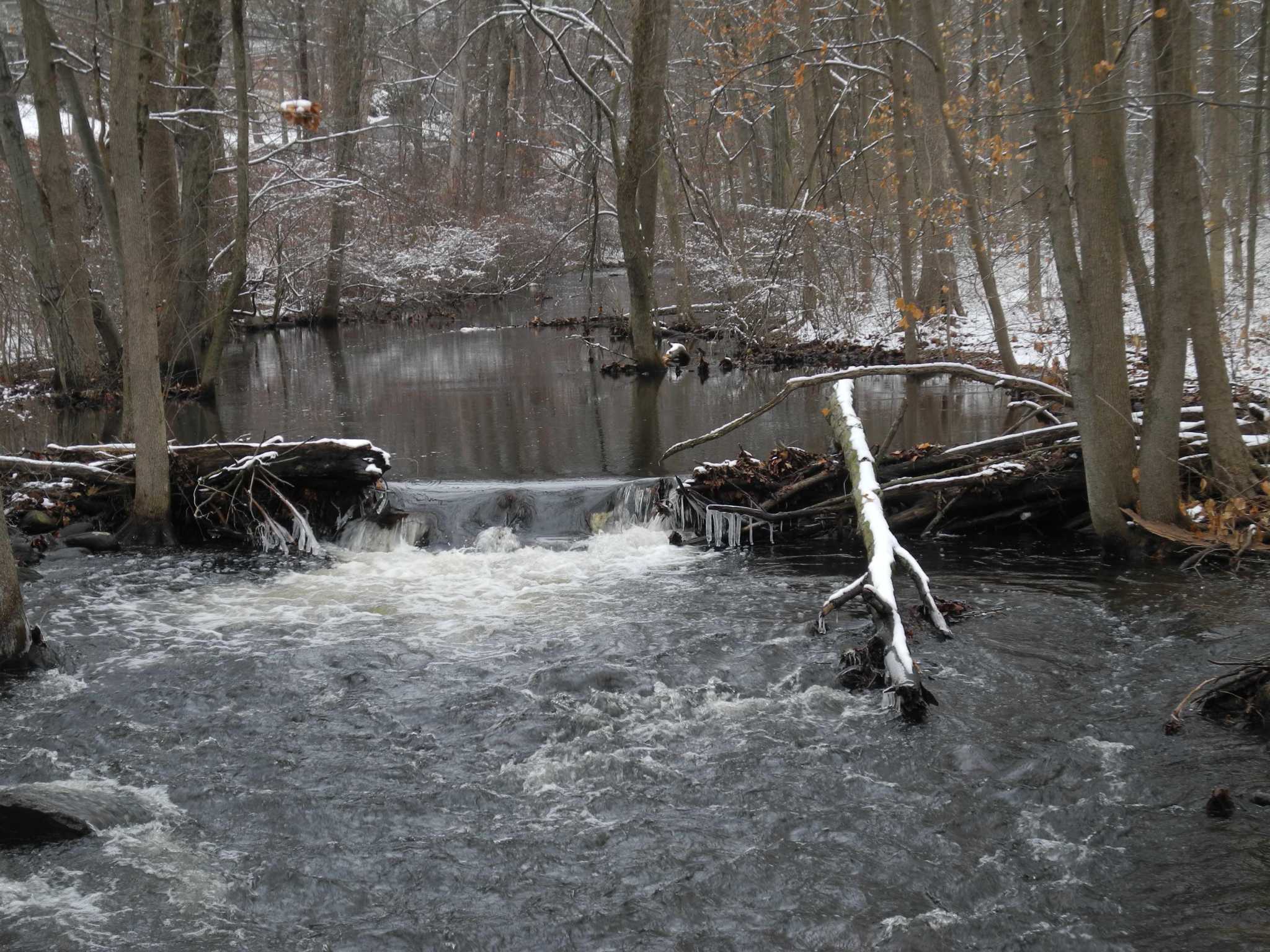 Wilton Bulletin Board: Meditation, cooking, stream cameras - Vimarsana News