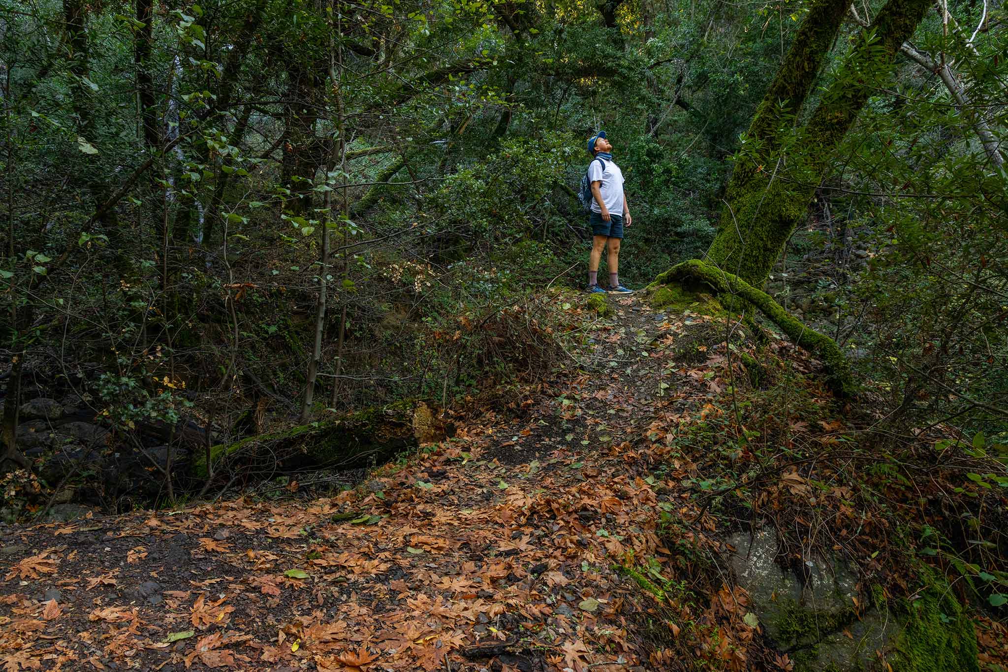 After 51 years, you can finally hike this Bay Area park. I did, and it made me furious.