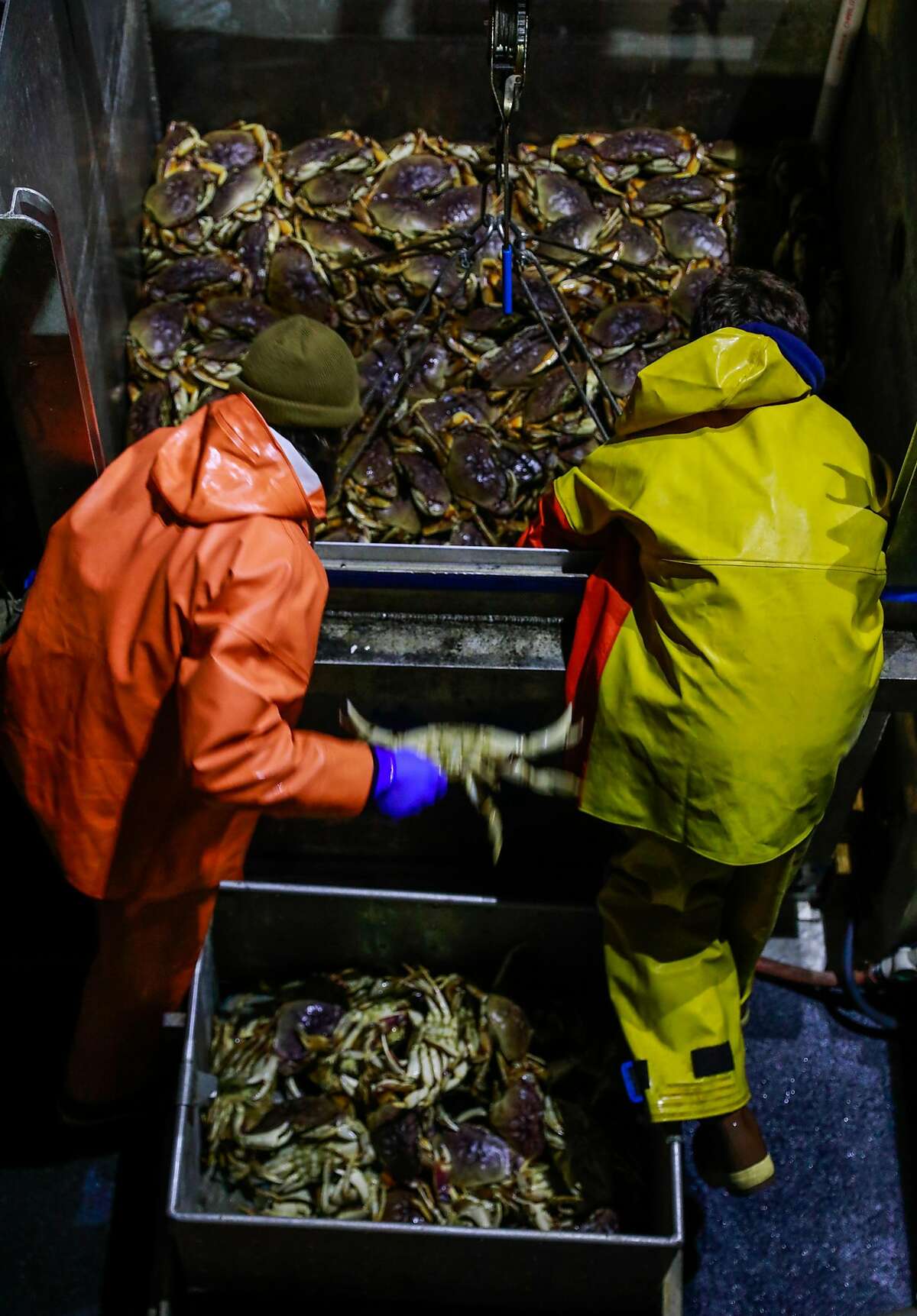 Fisherman empty a container of Dungeness crab into a metal bin to be hauled ashore to Fisherman's Wharf on Pier 45 in 2019. Right now, local crabbers are waiting to being working until a suitable wholesale price is established.