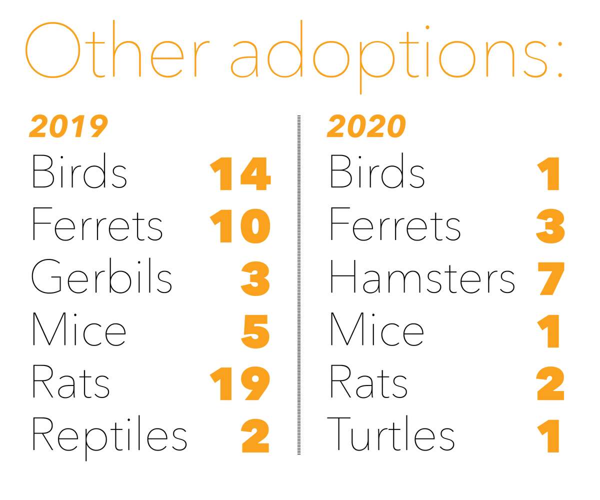 Adoption numbers