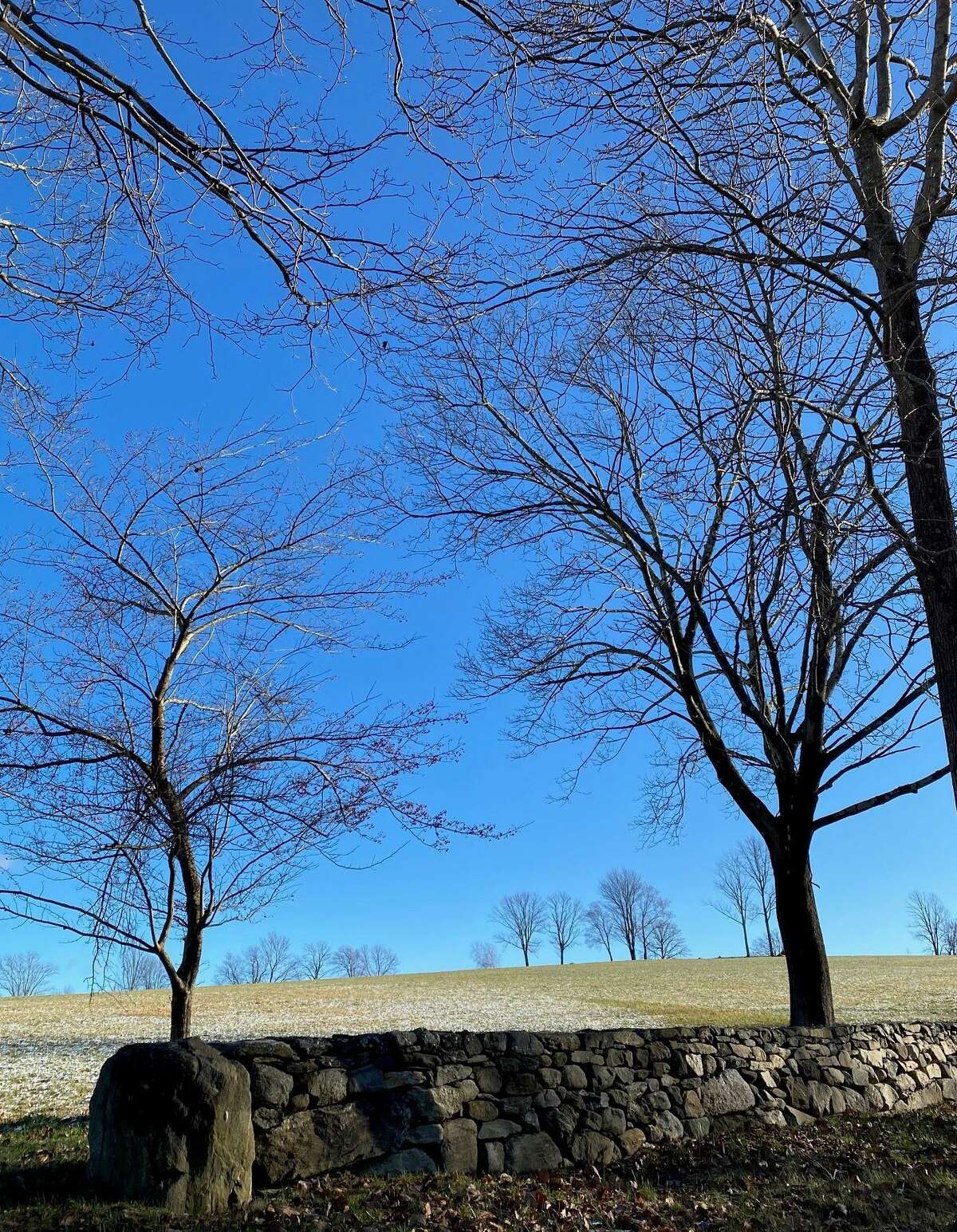 Trees of all shapes and sizes adorn the rolling hills of Litchfield County. Even leafless for winter, these trees along Plumb Hill Road in Washington remind us of their grandeur and imperfect beauty.