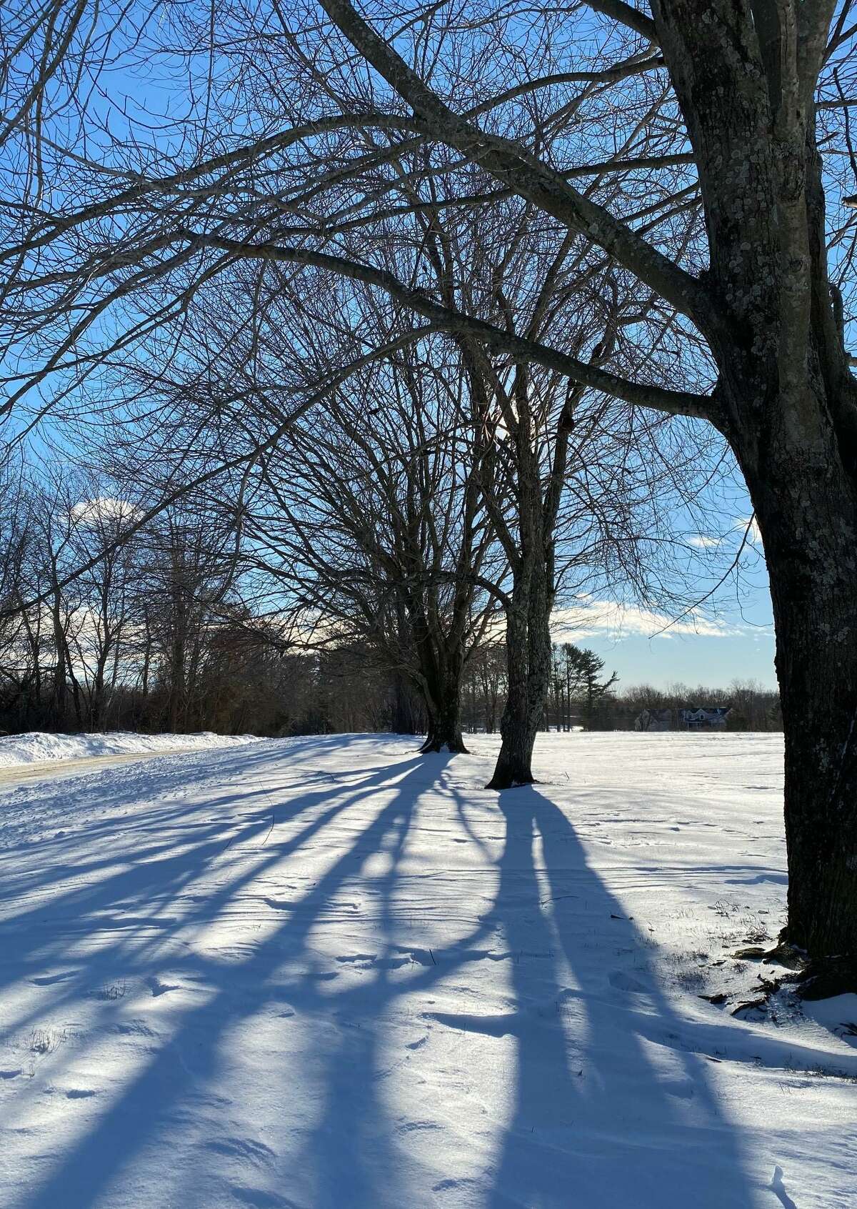 Reflection and relaxation can be found along the scenic Dorothy Diebold Lane in Roxbury, and in early winter, long shadows from the trees often play on fresh snow.