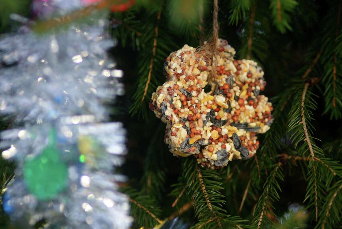 Members and friends of the Shelton Land Conservation Trust gather to decorate a