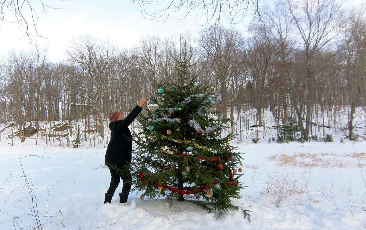 Mary King, a member of the Shelton Land Conservation Trust, helps to decorate a