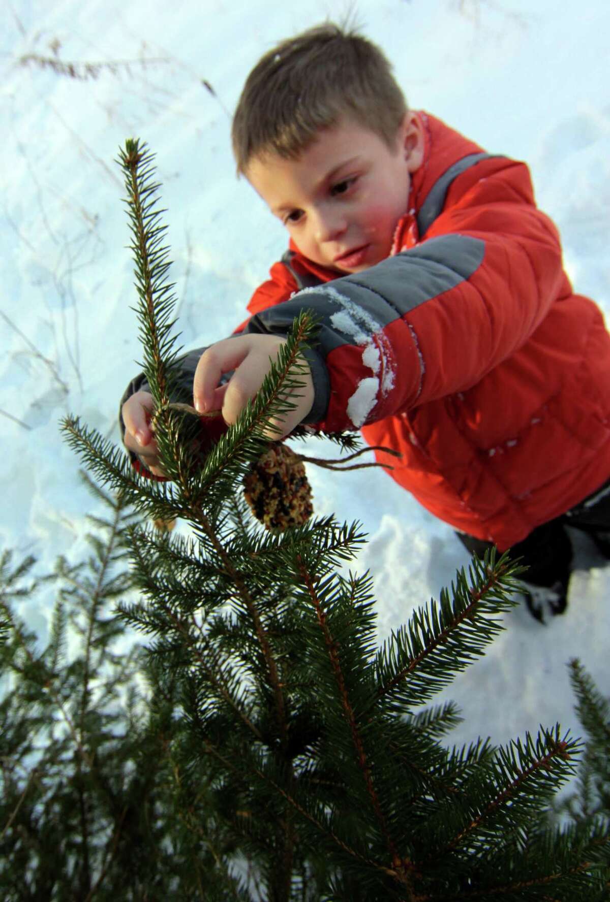 Mikey Menendez, 5, hangs an ornament.