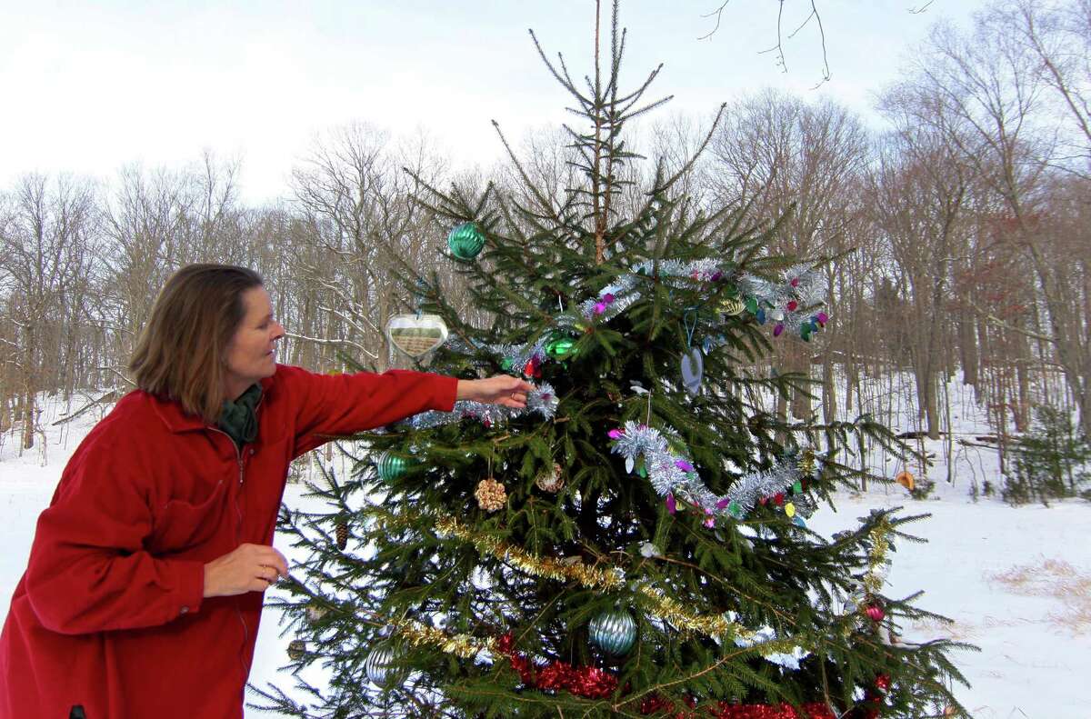 Allison Menendez hangs an ornament as she and members of the Shelton Land Conservation Trust gather to decorate a