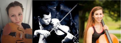 Litchfield library presents classical concert on Zoom - Vimarsana News