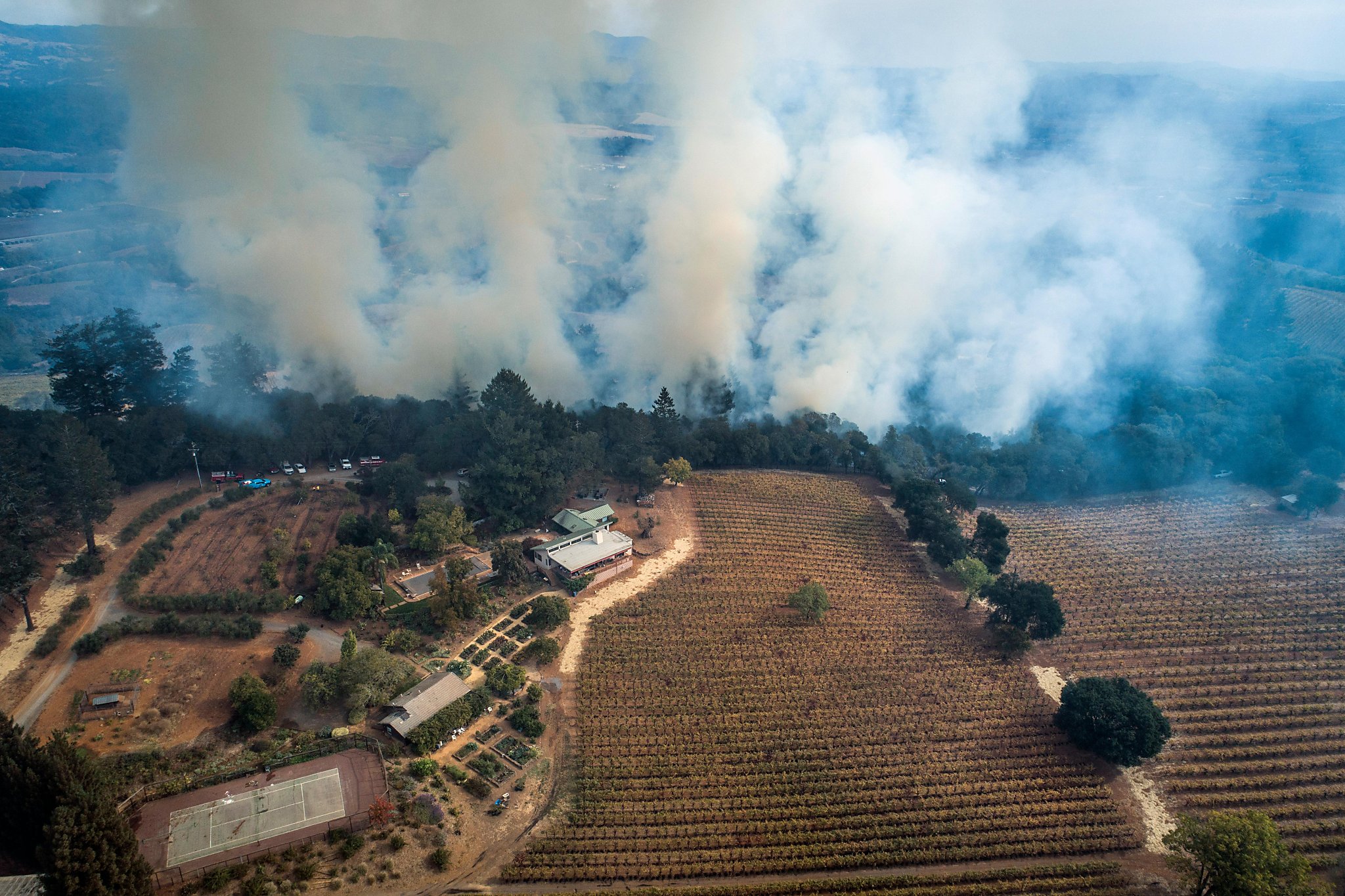 California must burn more of its forests to save them. Is the public ready? - Vimarsana News