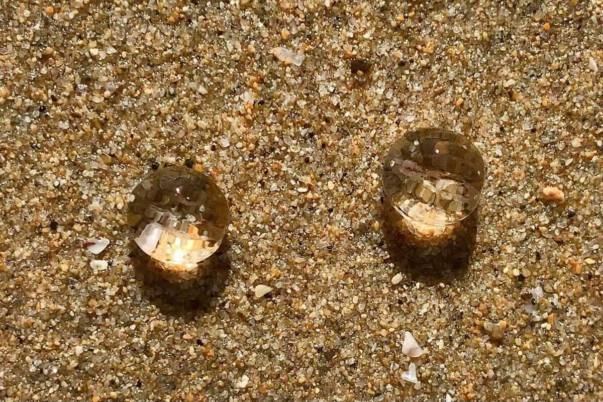 Comb jellies showed up on the beaches of Orange County last week.