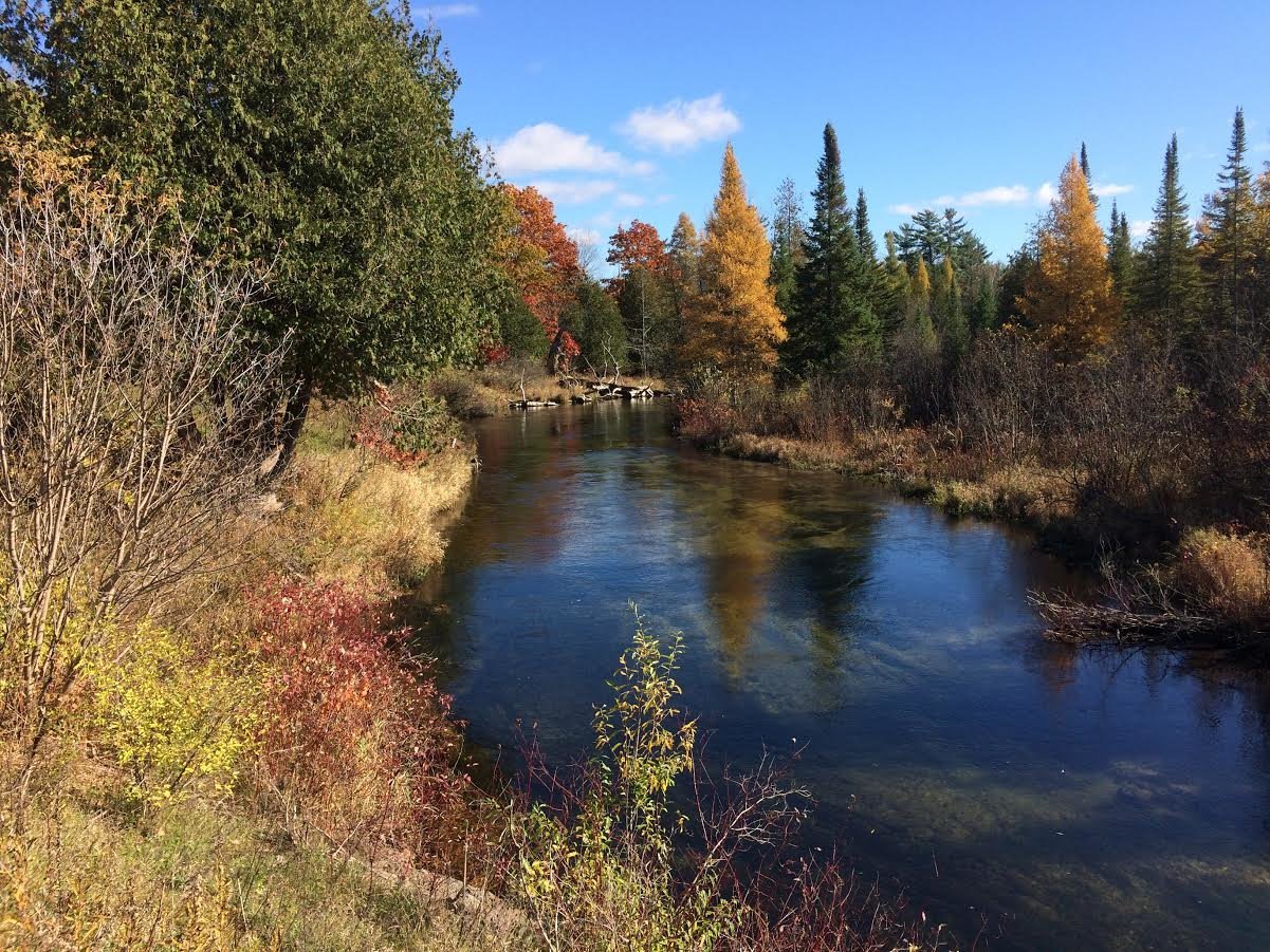 Universal Access Supported Through Grant For New Platte River Park   RawImage 