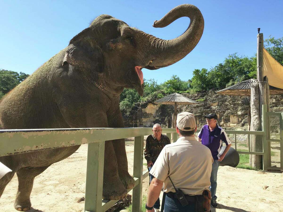 Staff with the San Antonio said it made the "difficult" decision to euthanize Lucky the Asian Elephant on Thursday. 