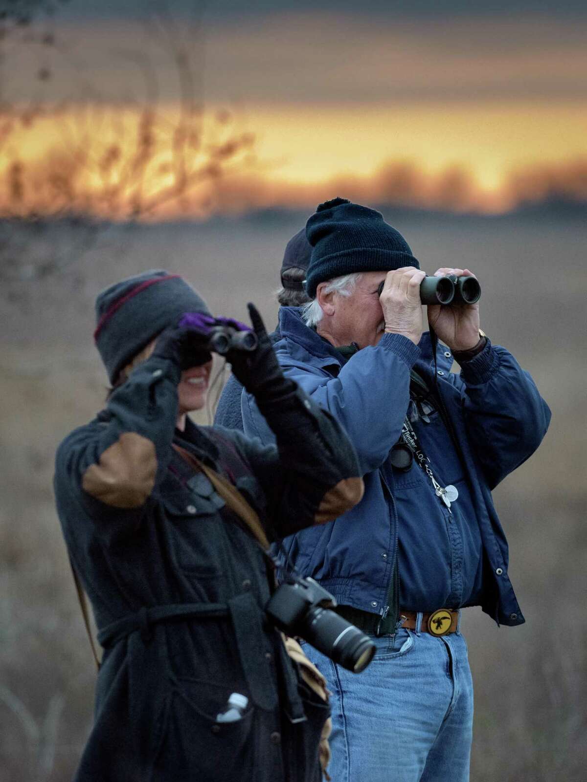 Birdwatchers scan the skies at the Katy prairie.