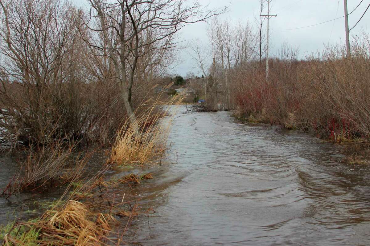 A portion of the Betsie Valley Trail flooded completely and was unusable for another year in 2020. (File Photo)