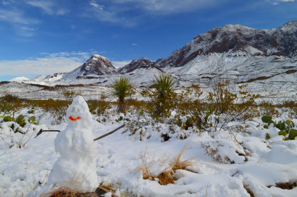 18 Inches Of Snow In The Desert Texas Park Warned Visitors To Stay Away After Deluge Of Snow 18 Inches Of Snow In The Desert Texas Park Warned Visitors To Stay Away After Deluge Of Snow