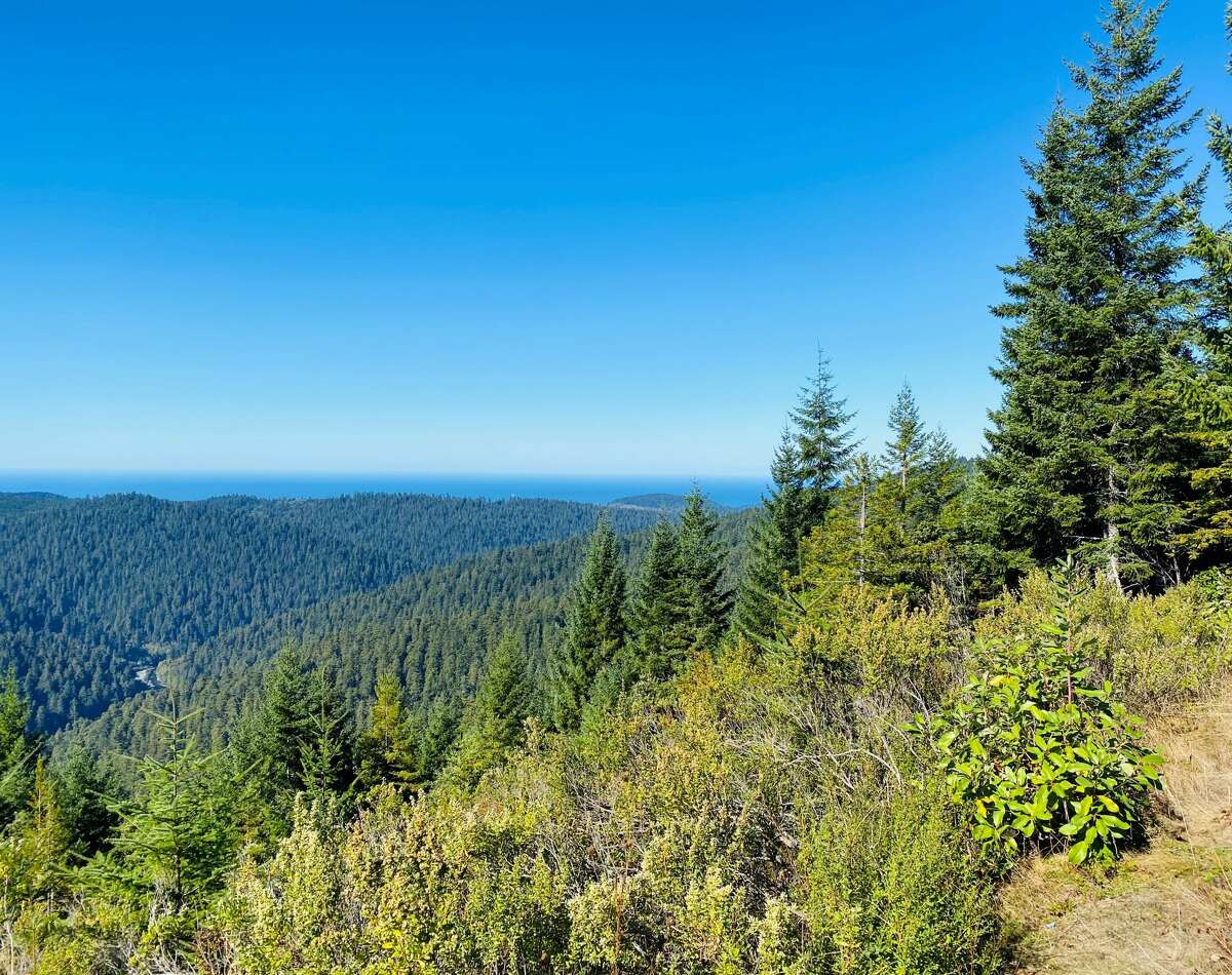 Glance to the south from the Redwood Creek Overlook and know that Hyperion is somewhere out there.