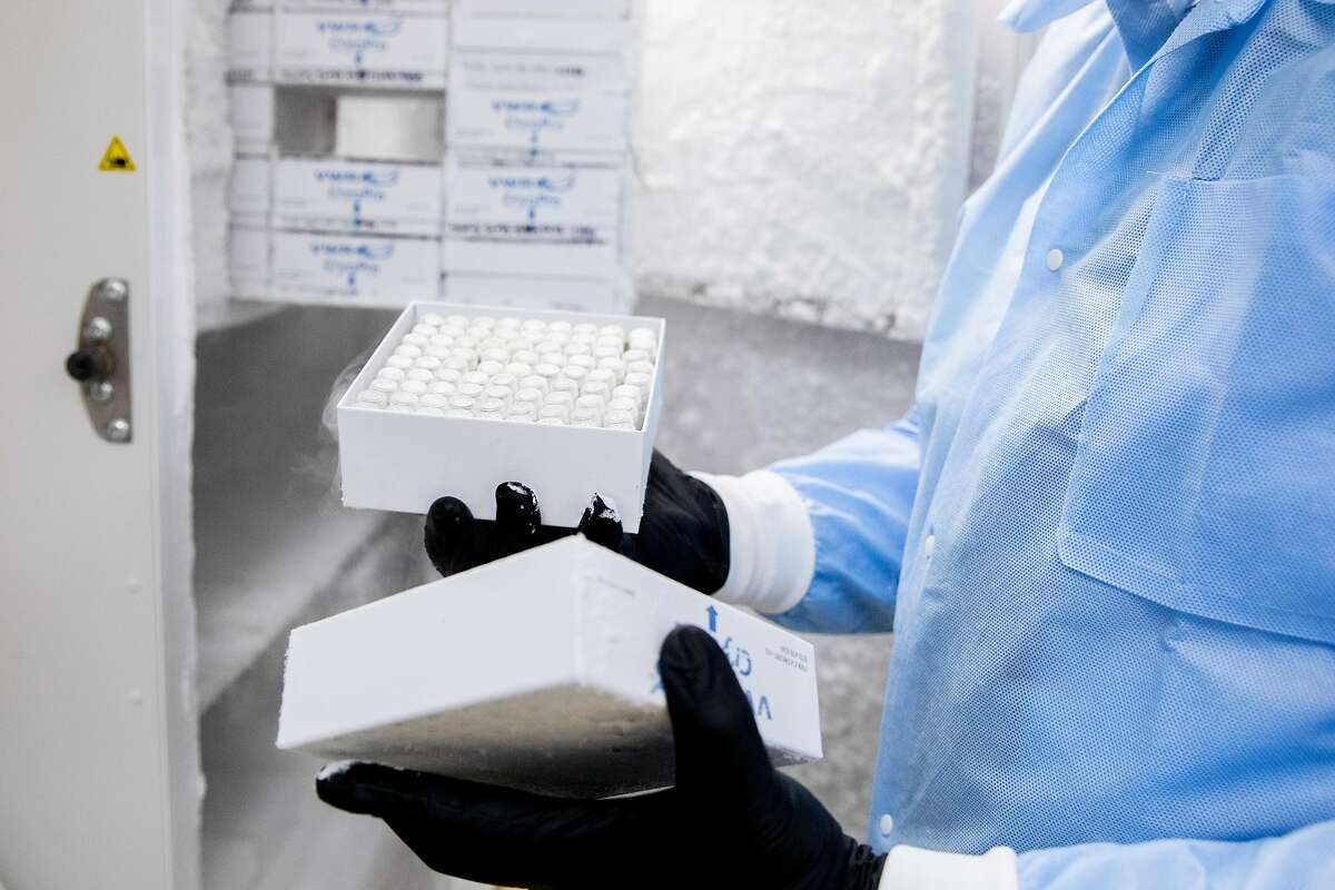 UCSF-Abbott Viral Diagnostics and Discovery Center lab director Dr. Charles Chiu enters the freezer to display samples of the COVID-19 vaccine.