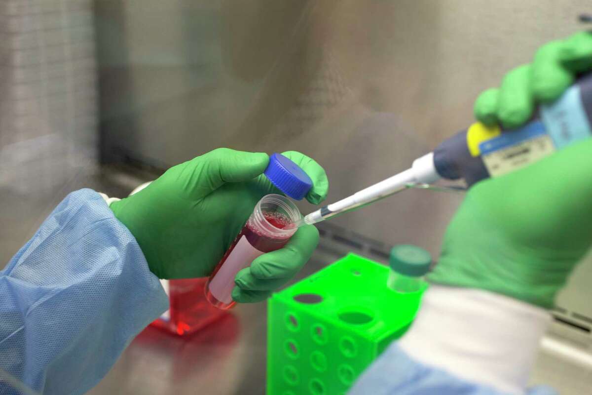 Opinion: Thank animal research for COVID-19 vaccines Opinion: Thank animal research for COVID-19 vaccines