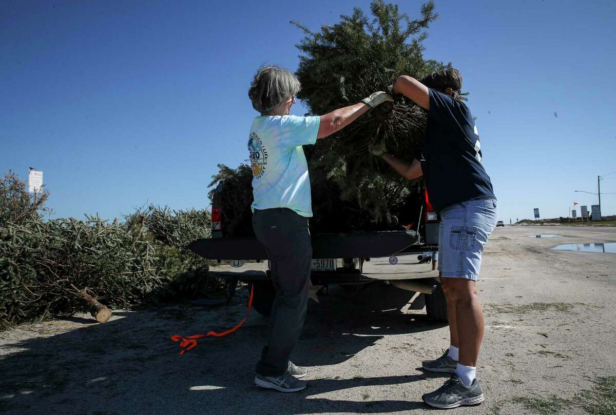 Terry Doyal, left, and her friend Barbara Perk unload Christmas trees Tuesday, Jan. 5, 2021, in Surfside Beach. The pair gathered trees from around Lake Jackson to drop off for dune restoration. "The dunes really got washed away this year, worse than I've ever see," Perk said.
