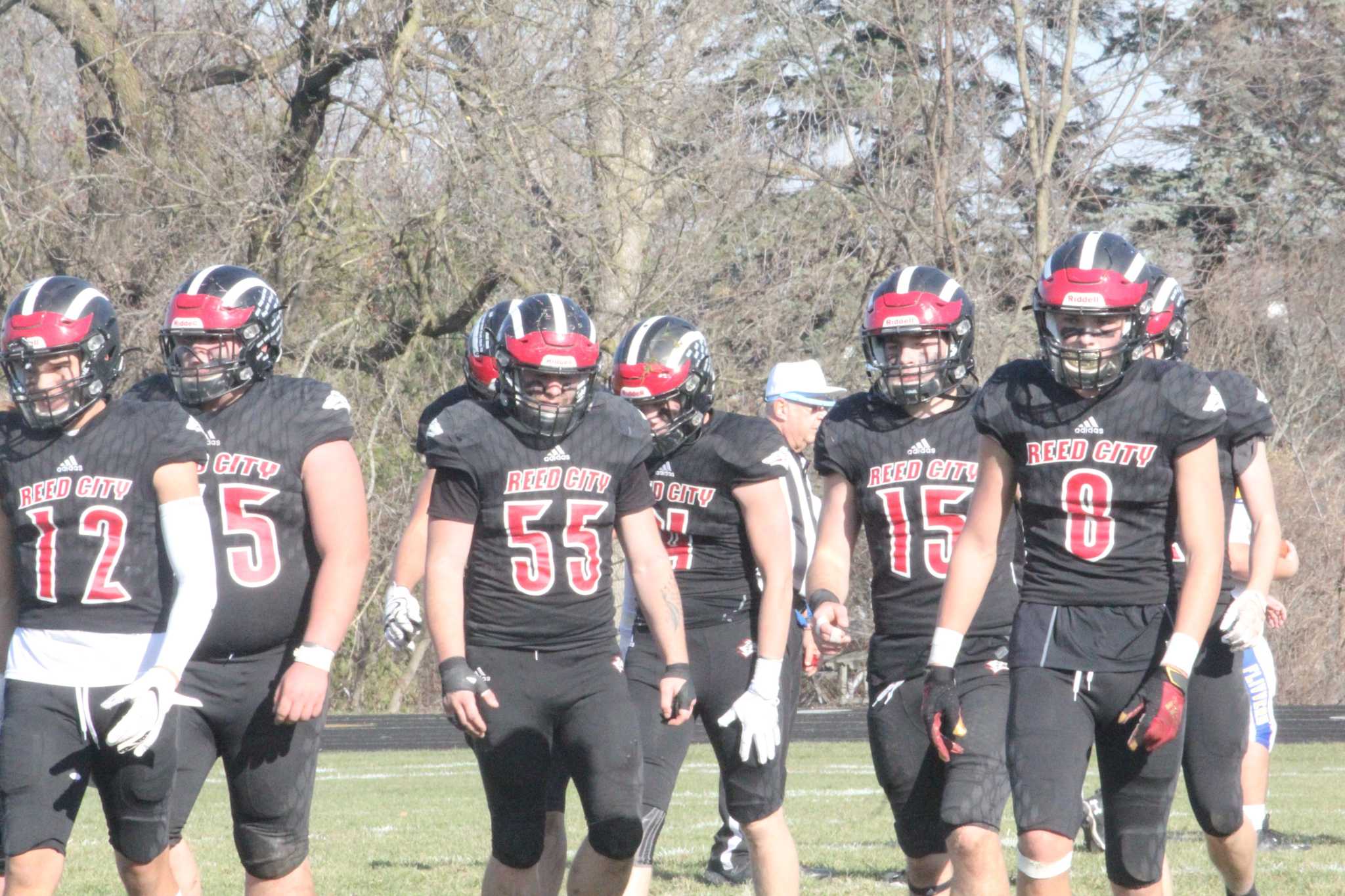 Reed City forfeits regional championship football game