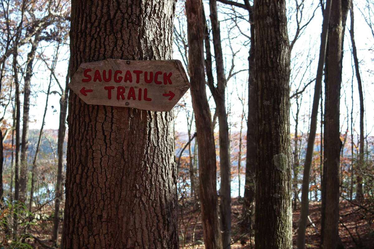 The Saugatuck Trail is one of the Connecticut Forest & Park Association's newest trails. The 12-mile Saugatuck Trail runs around much of the reservoir’s western and eastern sides from the Samuel P. Senior Dam to a connection with the Aspetuck Trail. Both paths are part of the Connecticut Forest & Park Association’s 825-mile Blue-Blazed Hiking Trail network. The paths travel through three towns, Weston, Redding and Easton, with the Aspetuck ending (or beginning) in Newtown. Although the trail keeps a safe distance from the shores of the reservoir to protect the quality of the water, the impoundment is your constant companion especially in the late fall, winter and early spring when the leaves are off the trees. Rock outcroppings and vistas give visitors spectacular views of the reservoir and the surrounding forests which are free of human intrusions except for busy Route 53.