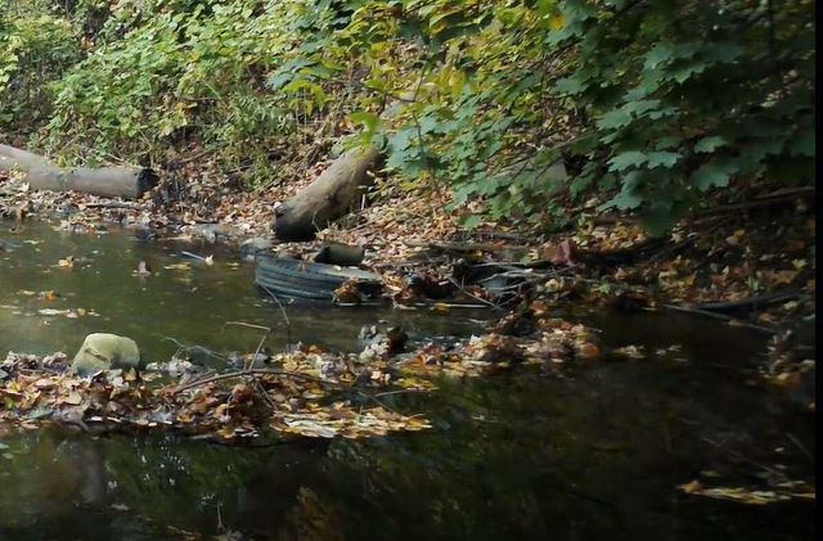 Great Brook stream in New Milford is in poor shape.