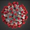 A COVID-19 particle is pictured in this image provided by the Centers for Disease Control and Prevention (CDC/TNS)