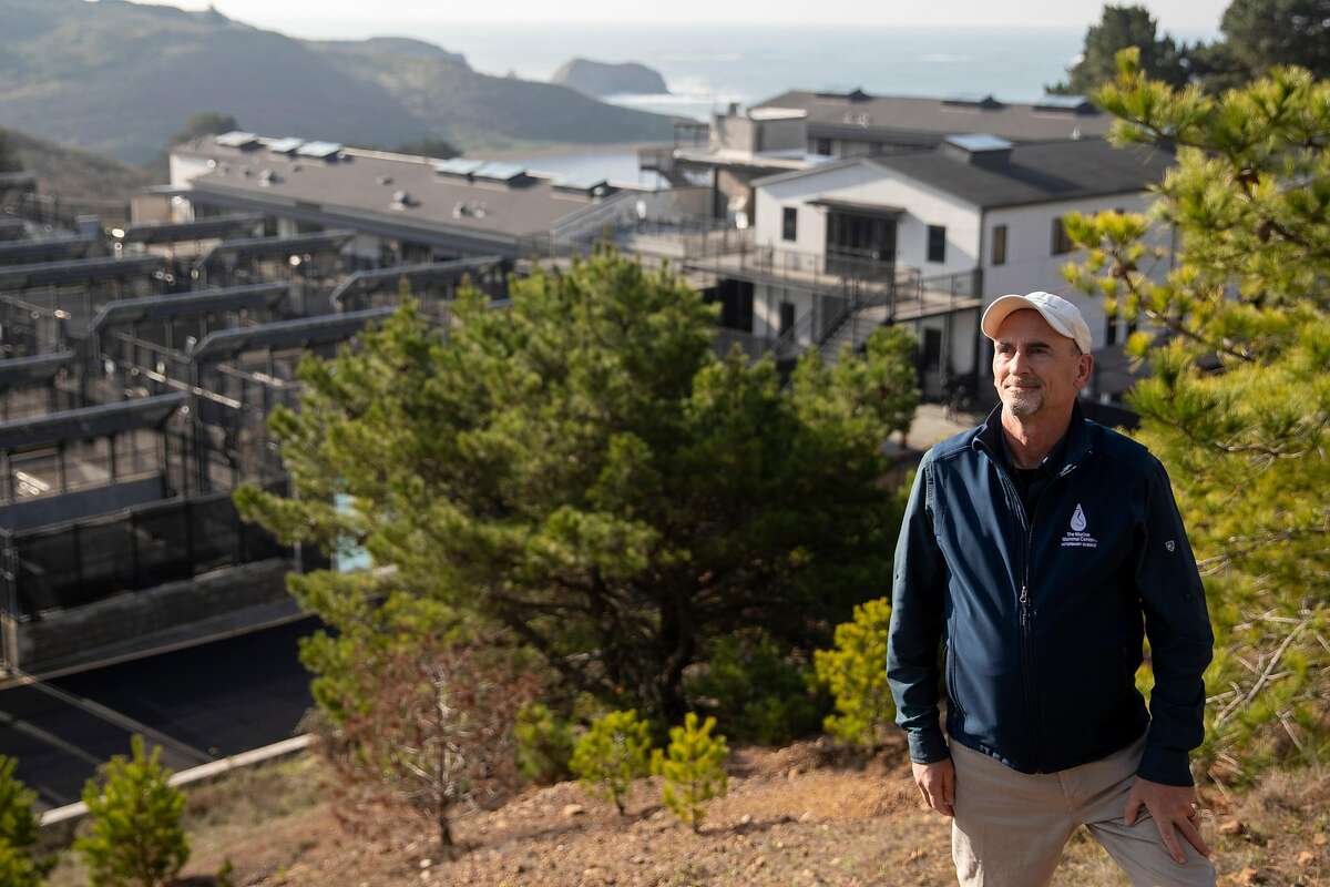 Chief pathologist Pádraig Duignan, shown above at the Marine Mammal Center in the Marin Headlands, has been performing necropsies on whales and said he expects “to see events like this happening at greater frequency than we did in the past.”