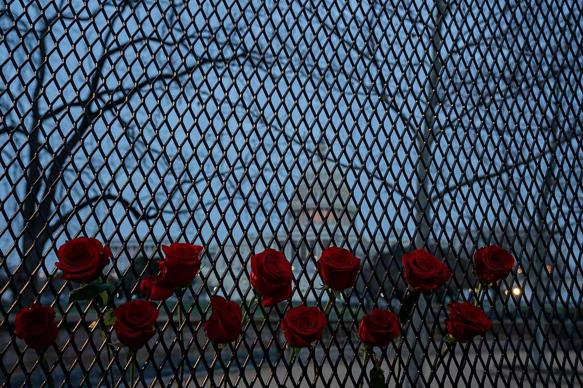 WASHINGTON, DC | January 8, 2021 Roses adorn a fence now put up to protect the U.S. Capitol building. Two days after a mob of Trump supporters stormed the U.S. Capitol, Washington, DC is a ghost town with fences and barricades now surrounding key buildings, and a handful of Army and Air National Guard as well as police officers from Maryland, Virginia and DC guarding the city.