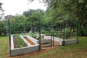 Neil Sperry’s tips to preparing a raised garden bed