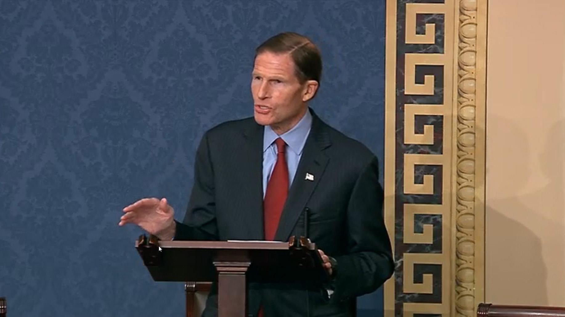 'Please paint': Twitter account critiques Blumenthal, others' 'Zoom' backgrounds