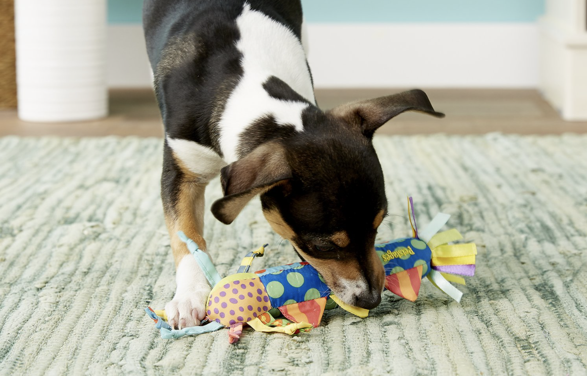 best toys for teething puppies petsmart